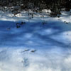 03 blu snow